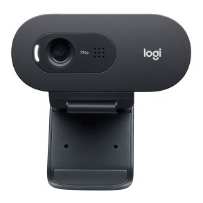 Logitech C505e Webkamera Fortrdet