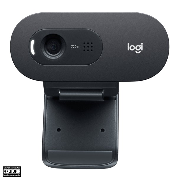 Logitech C505e Webkamera Fortrdet