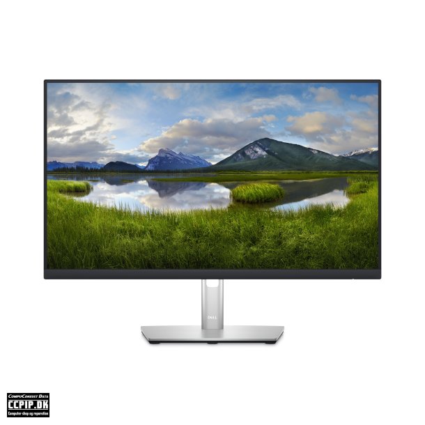 Dell P2423DE 24 2560 x 1440 HDMI DisplayPort USB-C 60Hz Pivot Skrm