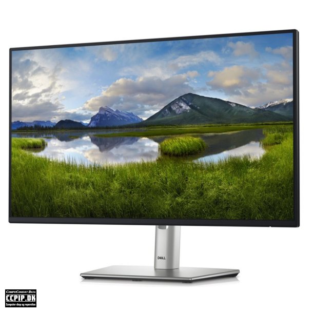 DELL Pro 24 Plus Monitor P2425H 60.45cm 23.8inch IPS 1920x1080 16:9 250cd/m2 100Hz HDMI DP VGA USB3.2